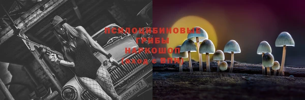 не бодяженный Ельня
