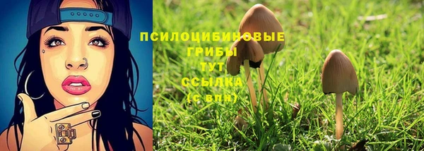 не бодяженный Ельня